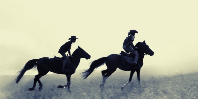 Riding to Freedom: On the Importance of the Horse in Escaping Slavery