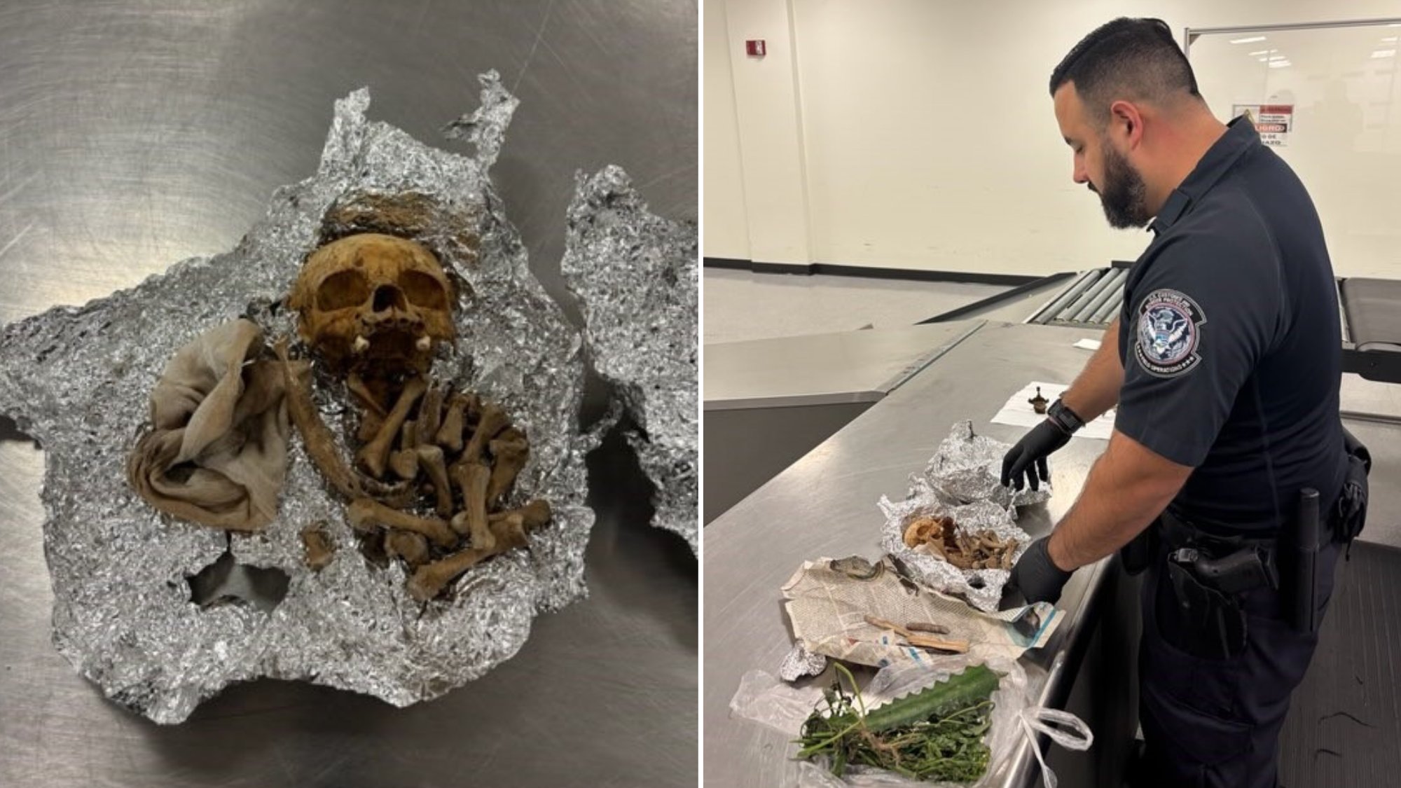 Apparent human remains found in luggage at Tampa airport, CBP says