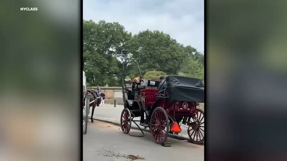 Spooked carriage horse takes off running in Central Park with no one at the reigns