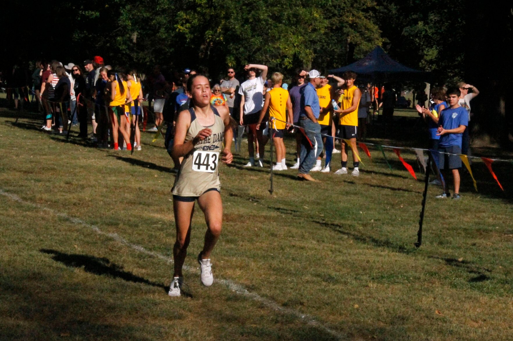 Cross Country Roundup: Devils handle tough field at Granite City, QND and Liberty compete at Rochester
