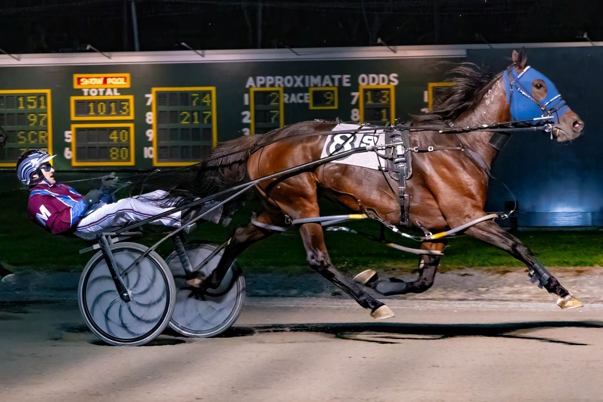 Delta Three N remains peerless at Batavia Downs