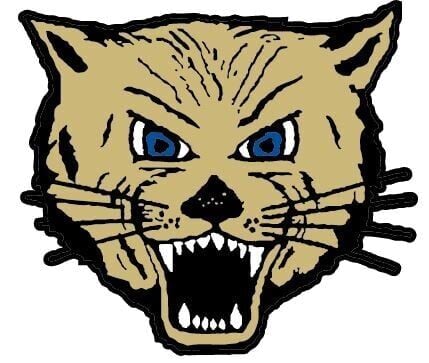 Boys soccer: Lake Mills surges past Lodi in conference opener, 6-0