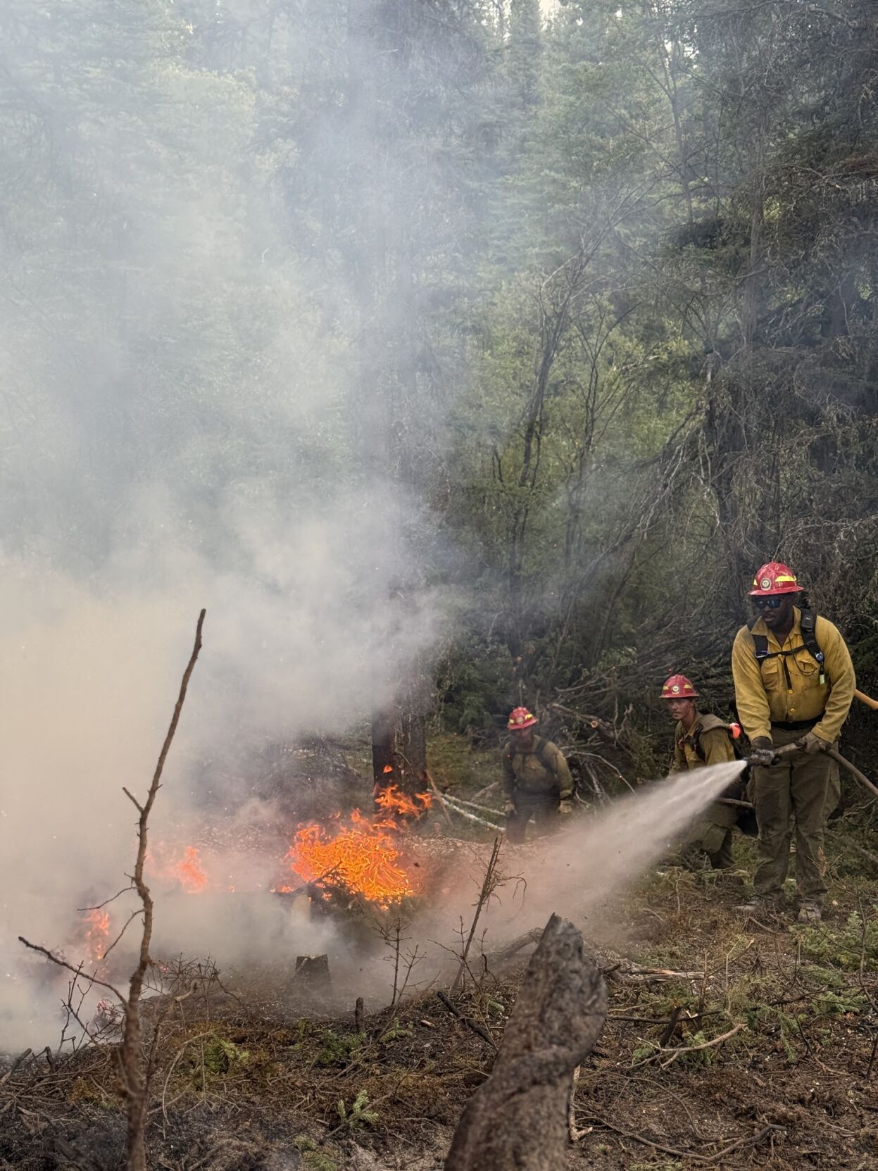 Lot to consider on wildfire season, rains could help with intensity