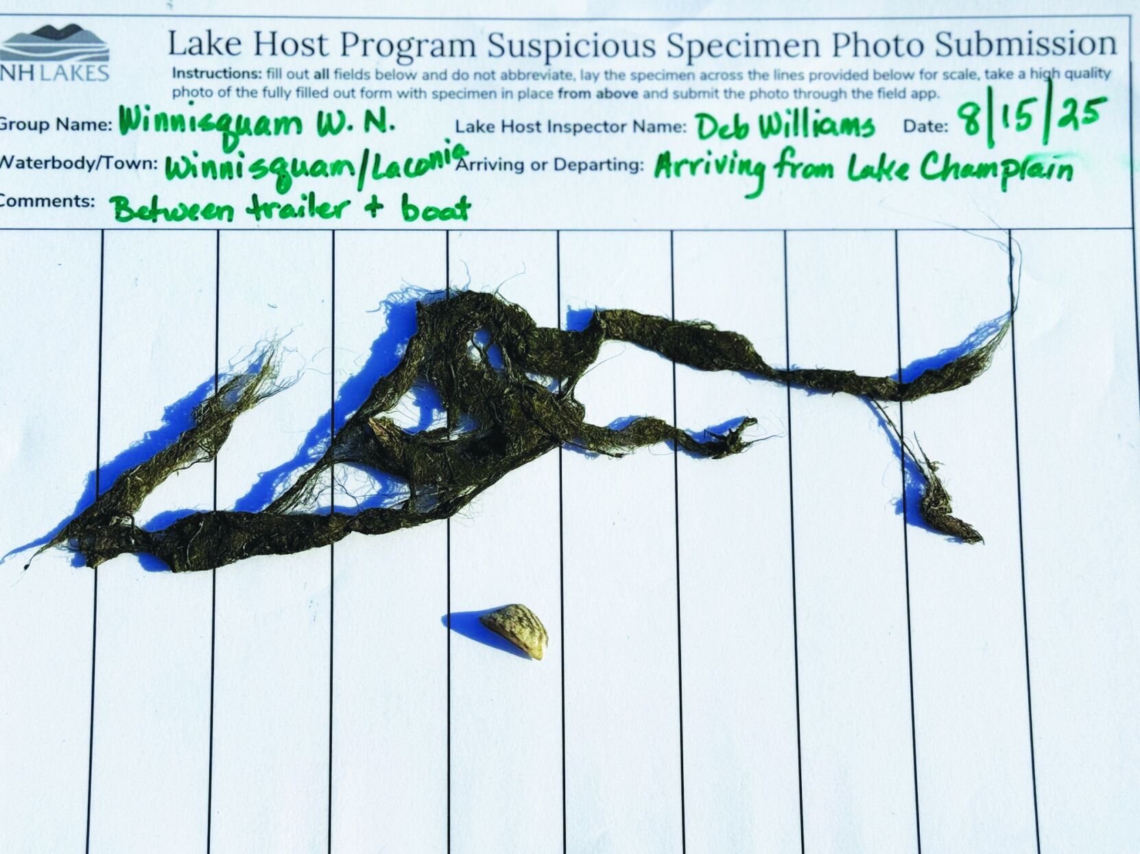  Lake Host thwarts aquatic invasive species from entering Winnisquam