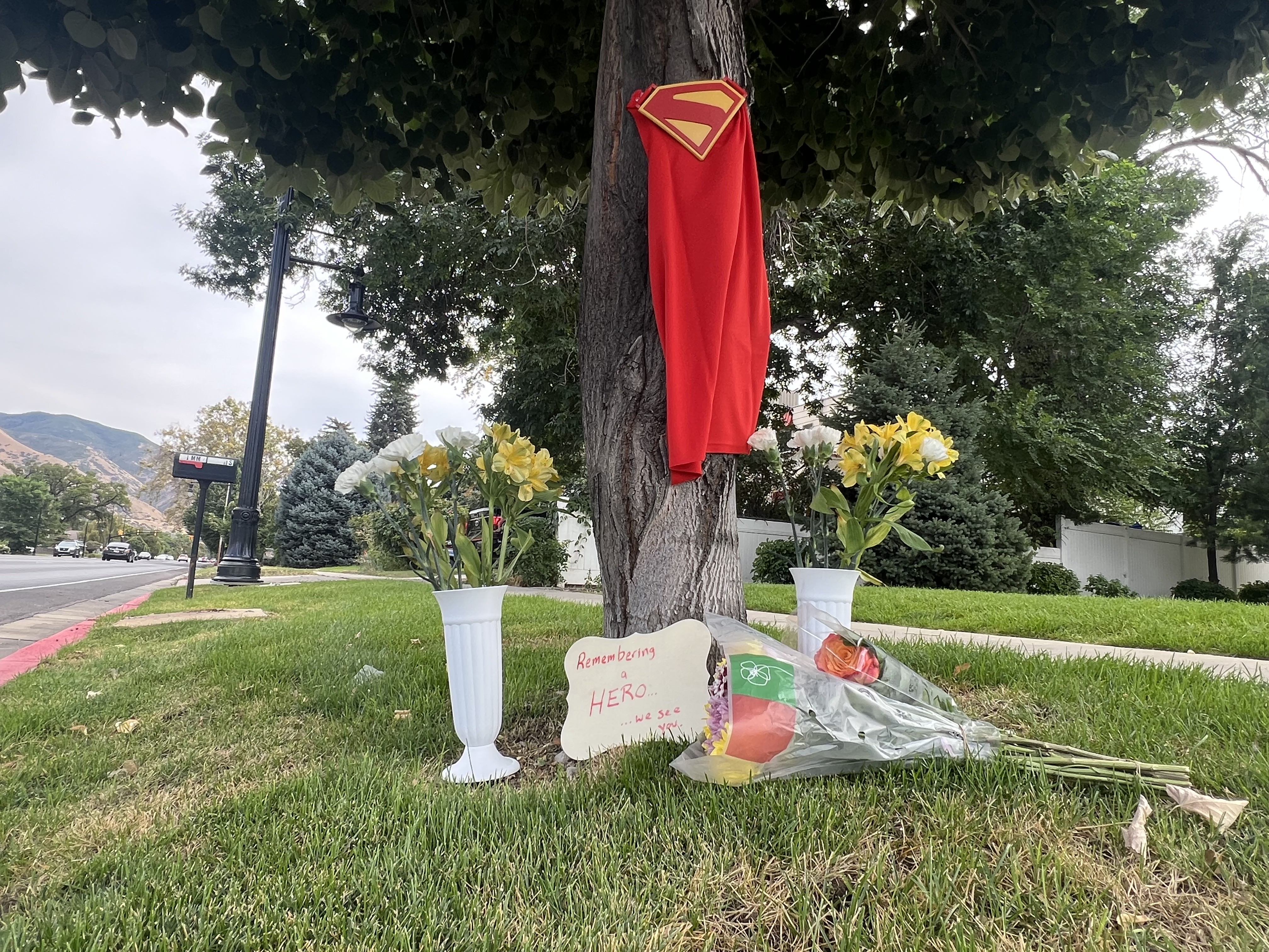 ‘The guy was completely drunk’: Witnesses describe moments after fatal Springville crash