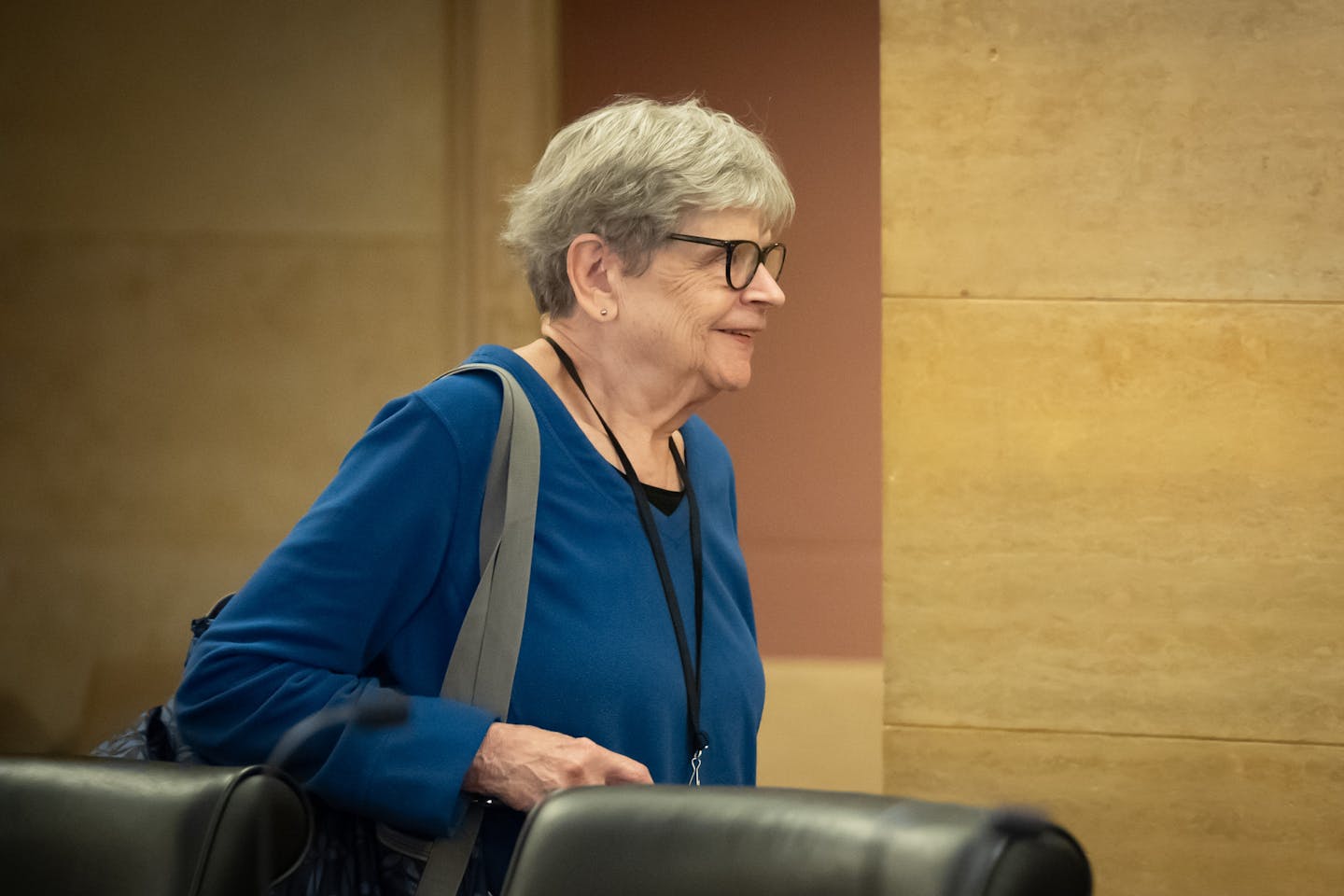 DFL Sen. Ann Rest announces her retirement after 40 years in office