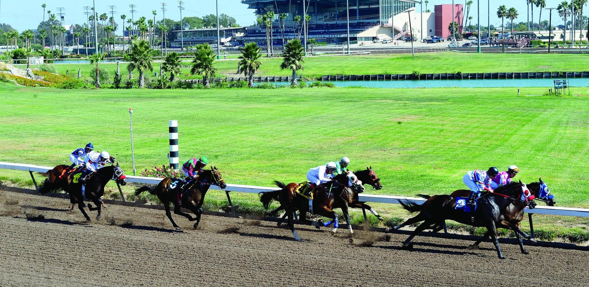Los Alamitos horse racing consensus picks for Saturday, September 20, 2025