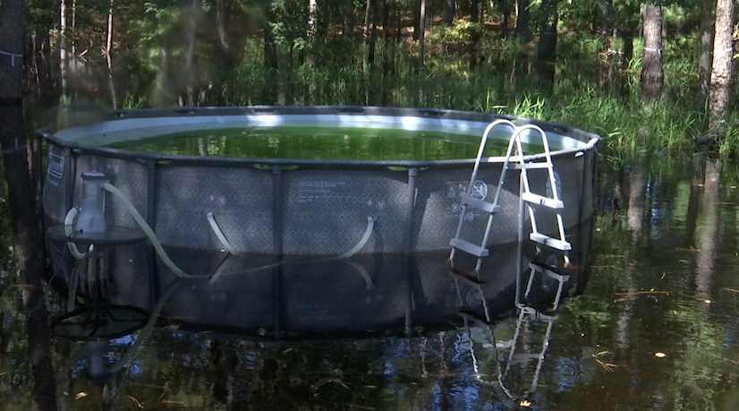 Lady’s Island residents battle worsening flood crisis