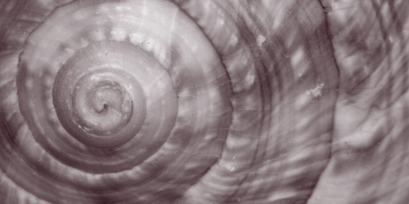 Breadcrumbs: Searching for Synchronicity, in Life and Literature