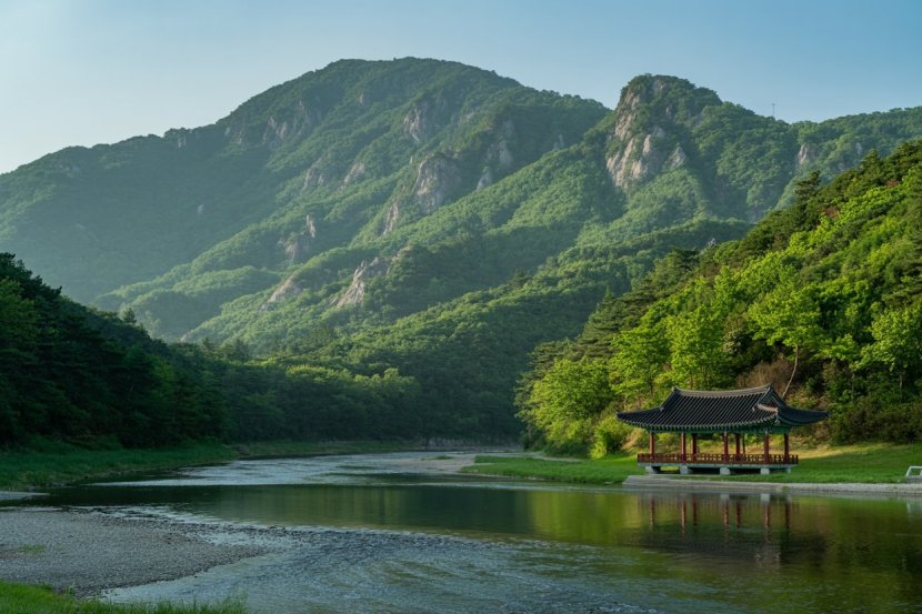 Jeollanam-do Unveils Bold Strategy to Attract Chinese Tourists, Boosting South Korea’s Tourism