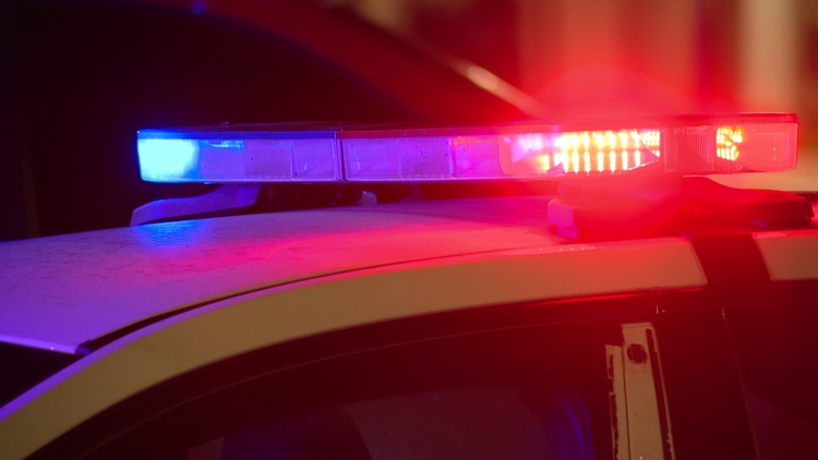 South Bend police: 16-year-old shot 17-year-old and dog, then led officers on chase