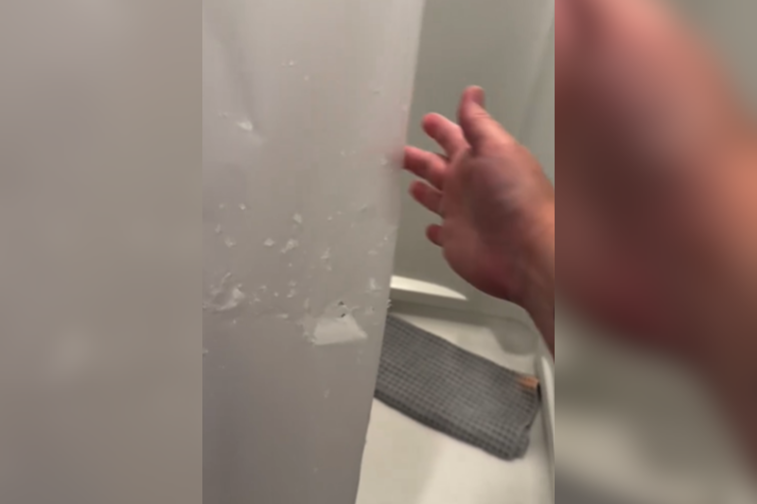 Shower Curtain Found Shredded—Woman Catches Culprit on Camera