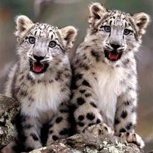  Charter Cities Attempting to Create a Libertarian Paradise