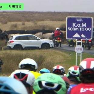 ‘Loads of cows crossing the road!’ – Tour of Britain interrupted by cattle