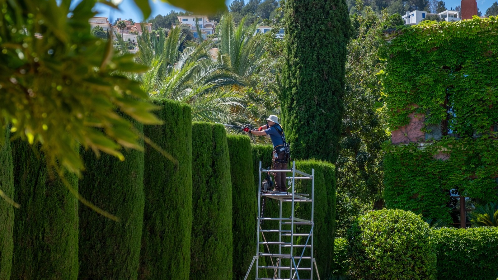  What Is The Difference Between A Hedge Cutter And A Hedge Trimmer?