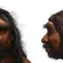  Million-year-old skull could change human evolution timeline