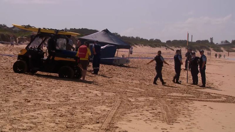 Rare deadly shark attack sparks ocean hunt in Sydney, Australia