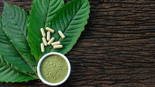 Top Kratom Vendors 2025: Essential Buying Guide for Quality Kratom