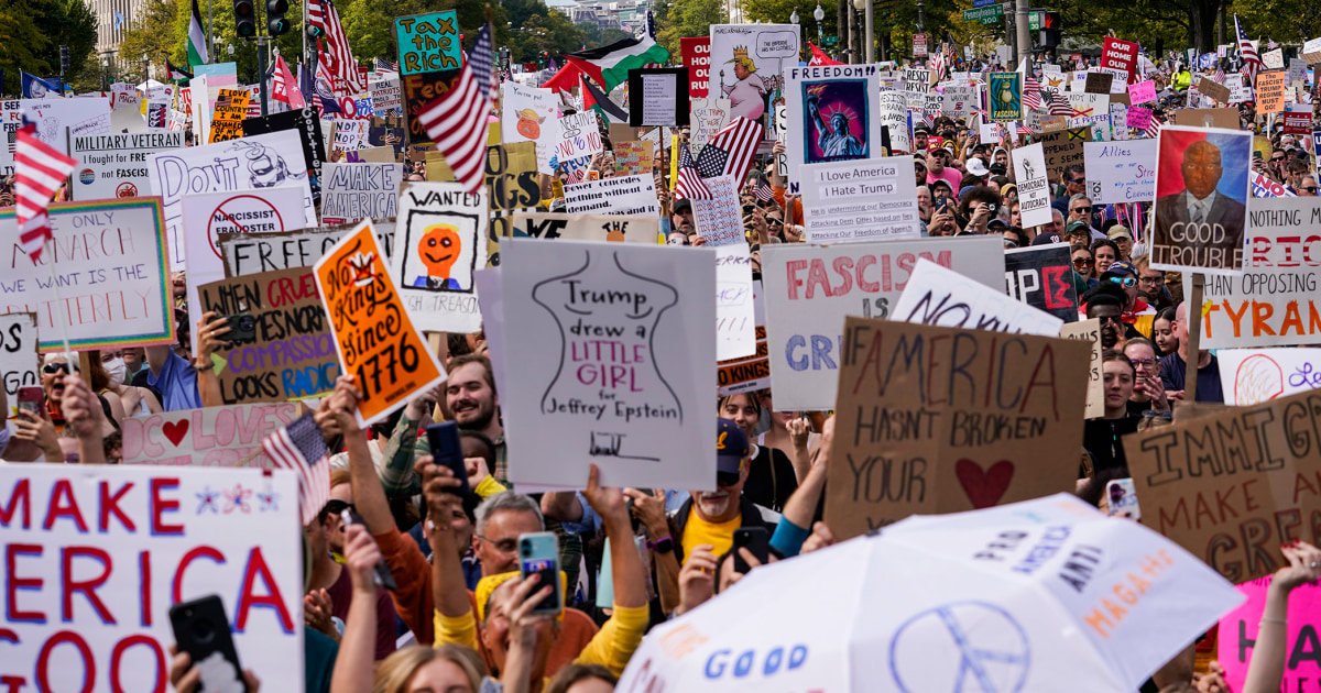  Democrats rallied at No Kings to protest Trump — many say they’re also unhappy with their party