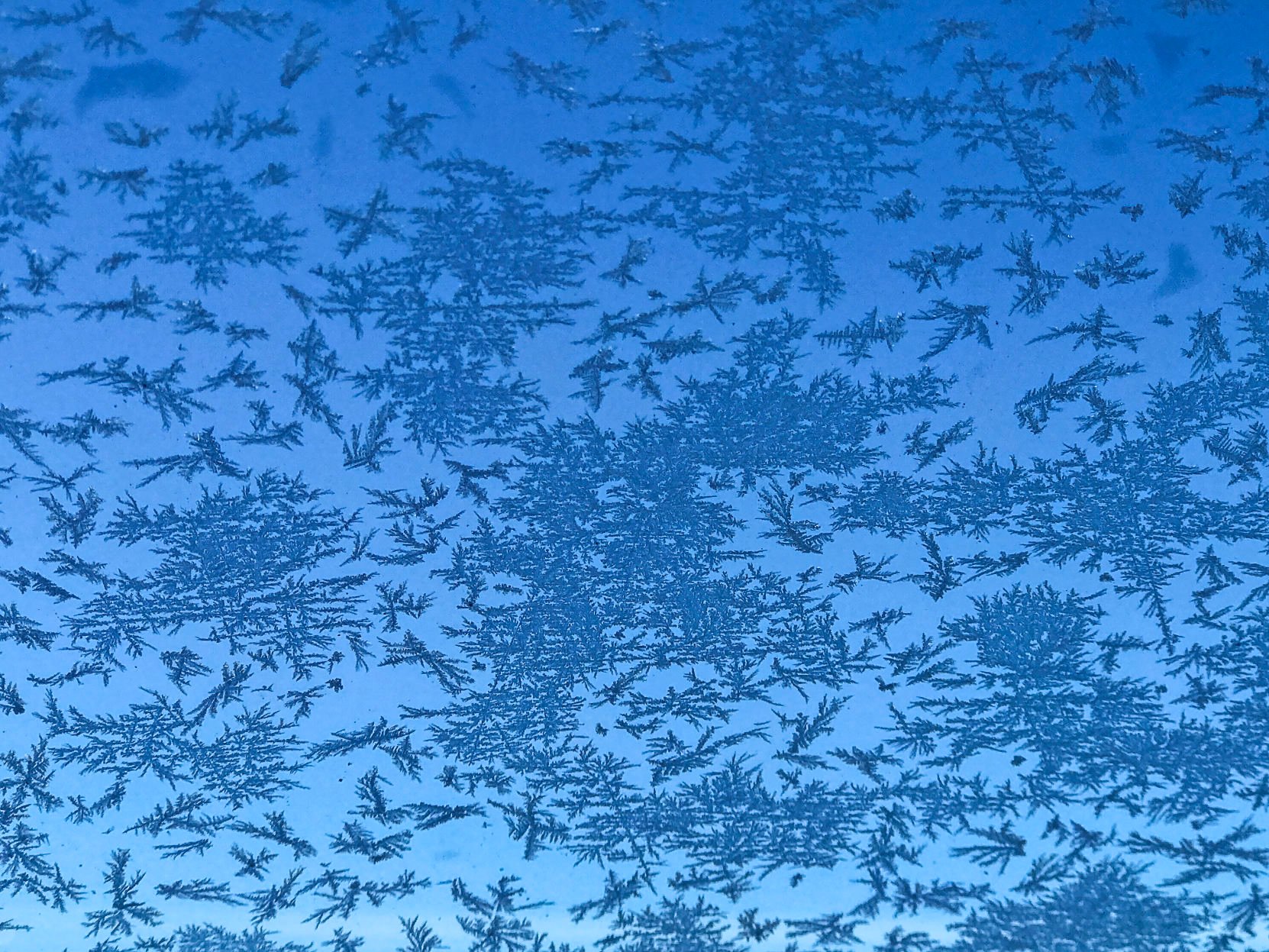 More rain and high rivers, then first morning freeze in New Mexico this week