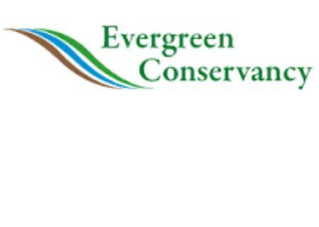  Bat program sponsored by Evergreen Conservancy planned for Oct. 24 at Blue Spruce Lodge