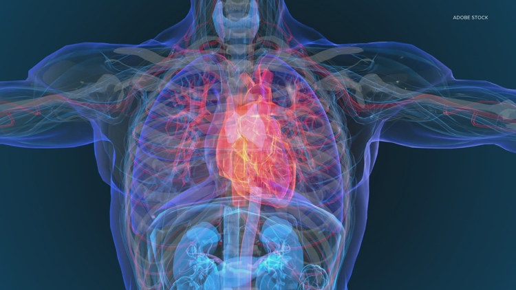 Study finds 99 percent of heart attack, stroke victims had these common risk factors: HealthLink