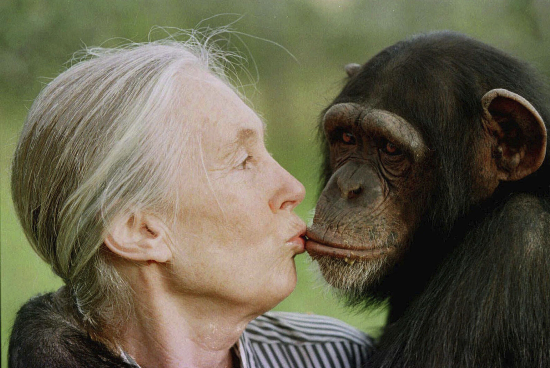  Jane Goodall, the celebrated primatologist and conservationist, has died
