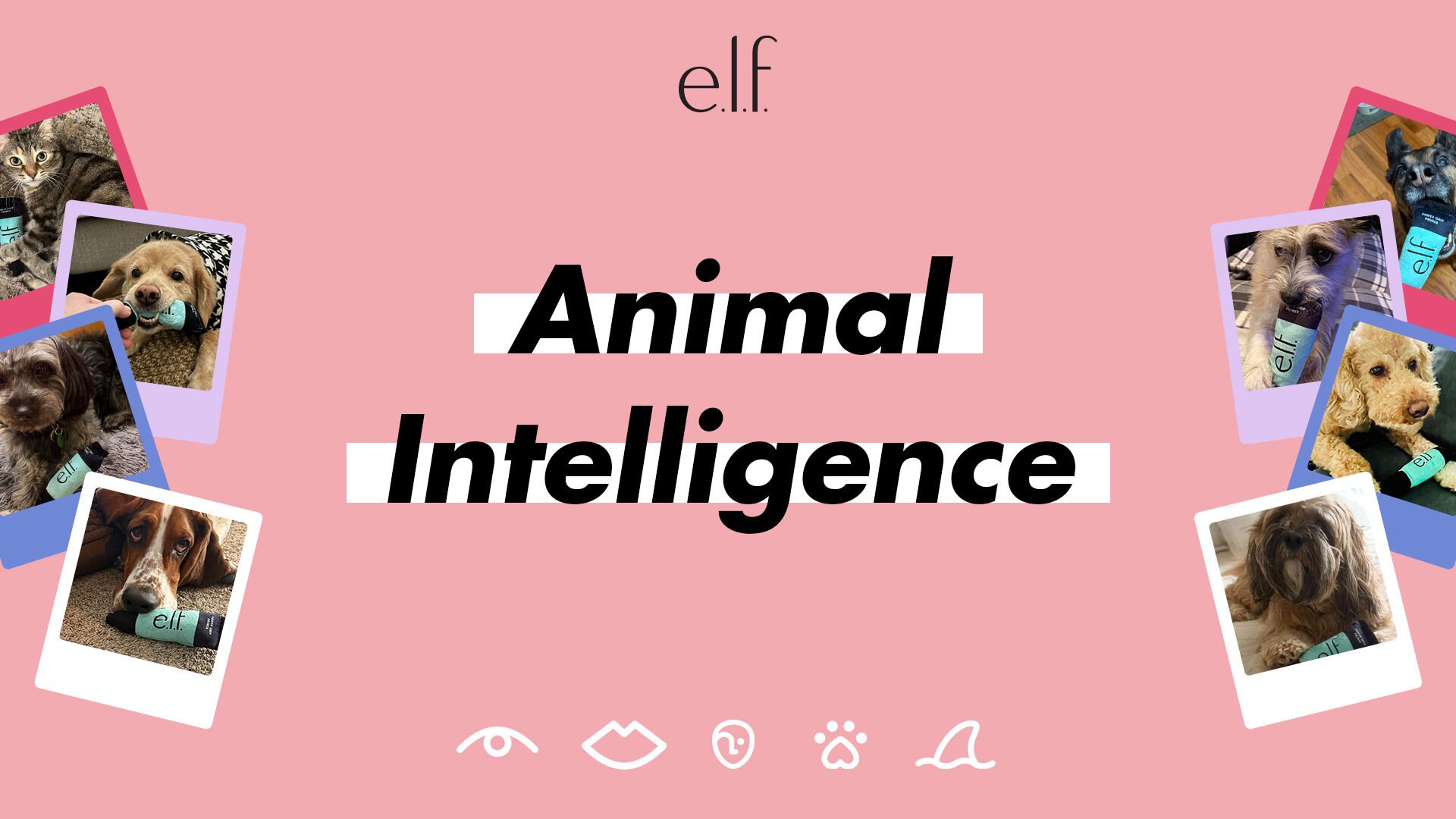 Cruelty-free e.l.f. Cosmetics Introduces AI Campaign Like No Other: Animal Intelligence