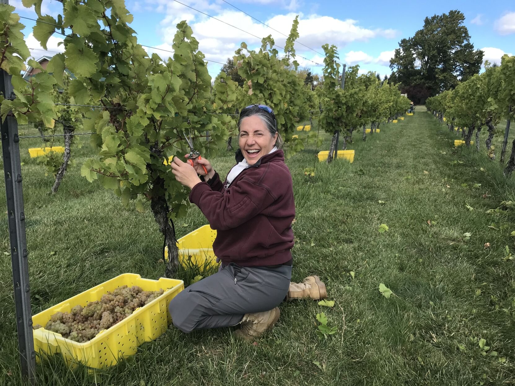  Veterans start their second chapter at Sassy Goat Winery