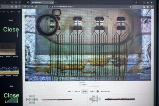  ‘Wetware’: Scientists use human mini-brains to power computers