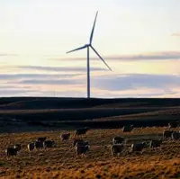  Aussie Climate Agency Concedes It Did Not Scrutinize Data Behind Major Climate Risk Report