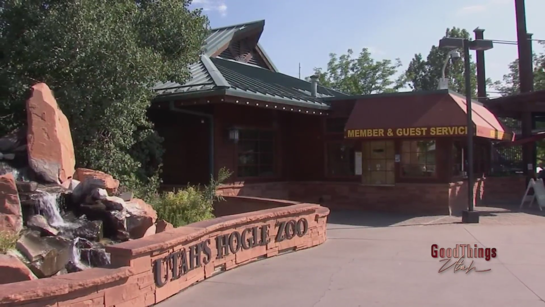  Volunteers making a difference at Utah Hogle Zoo