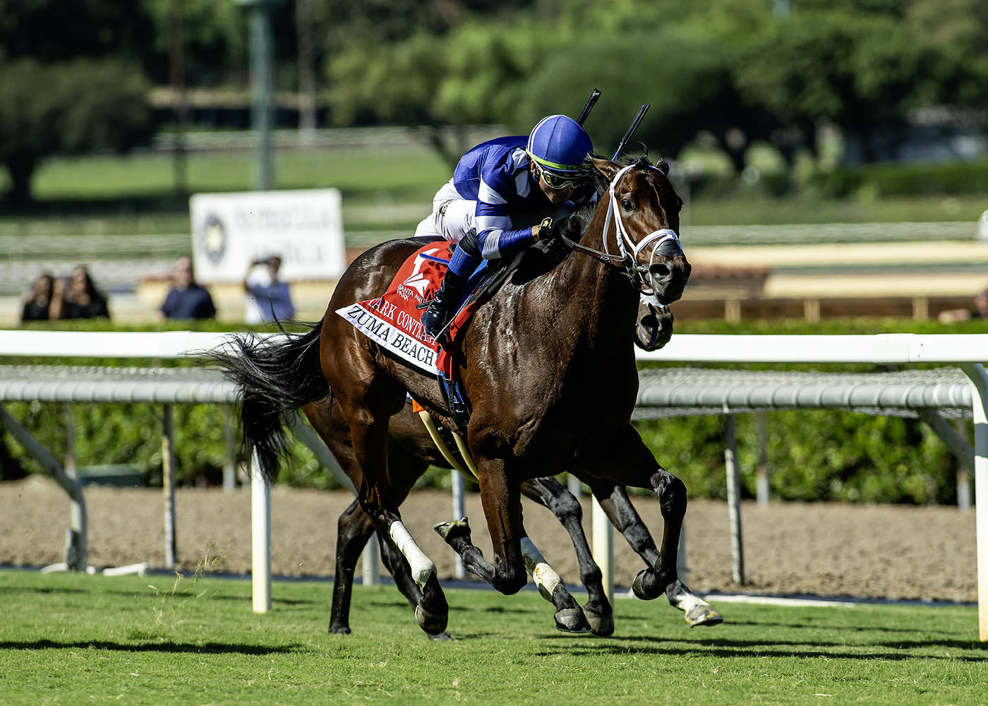  Stark Contrast joins Journalism on Michael McCarthy’s Breeders’ Cup team