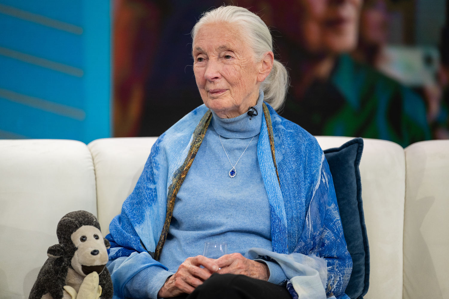  What Jane Goodall Said She Wanted Her Legacy to Be