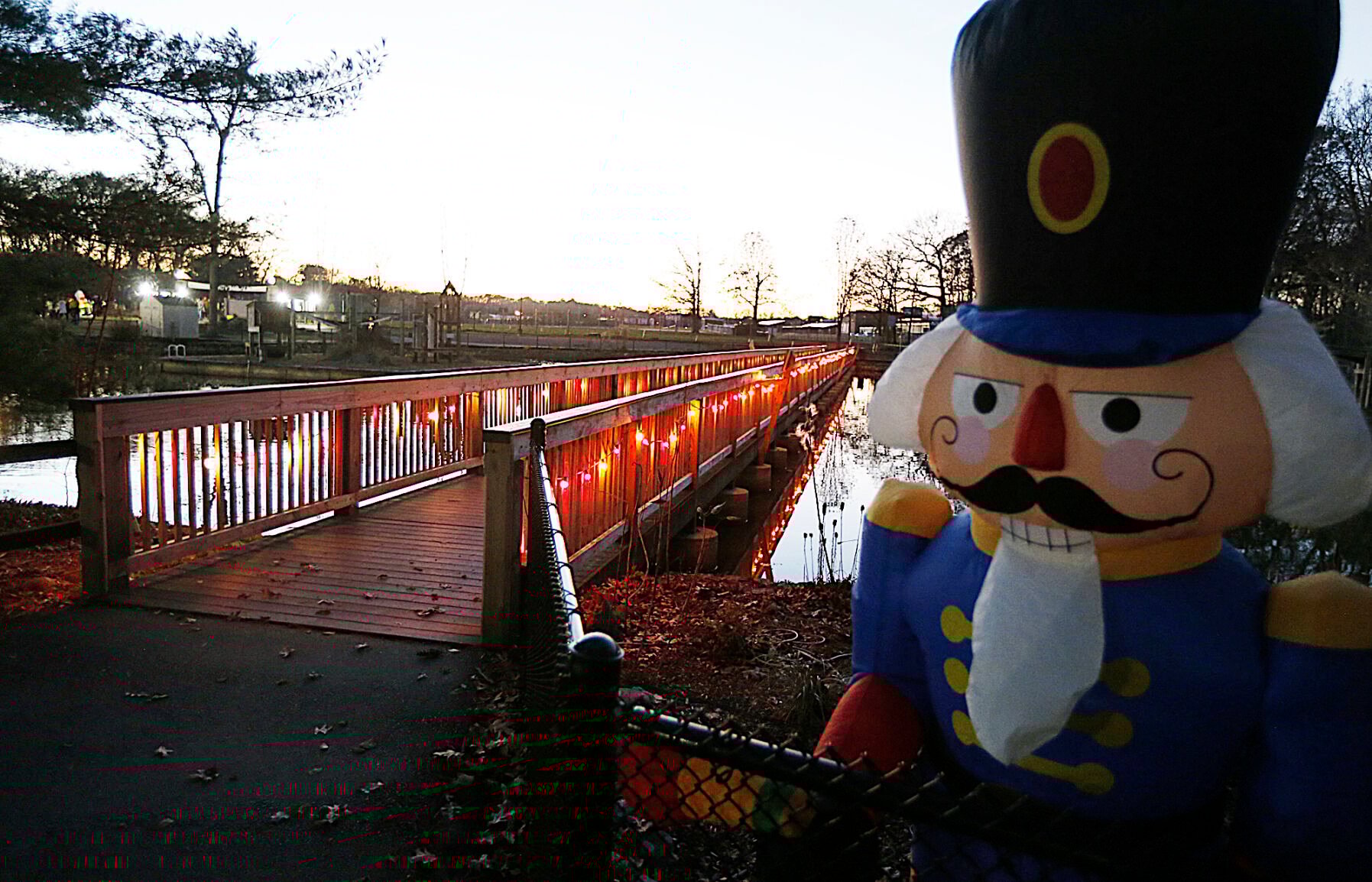 Tree lighting ceremony at Capron Park Zoo to ring in the holiday season
