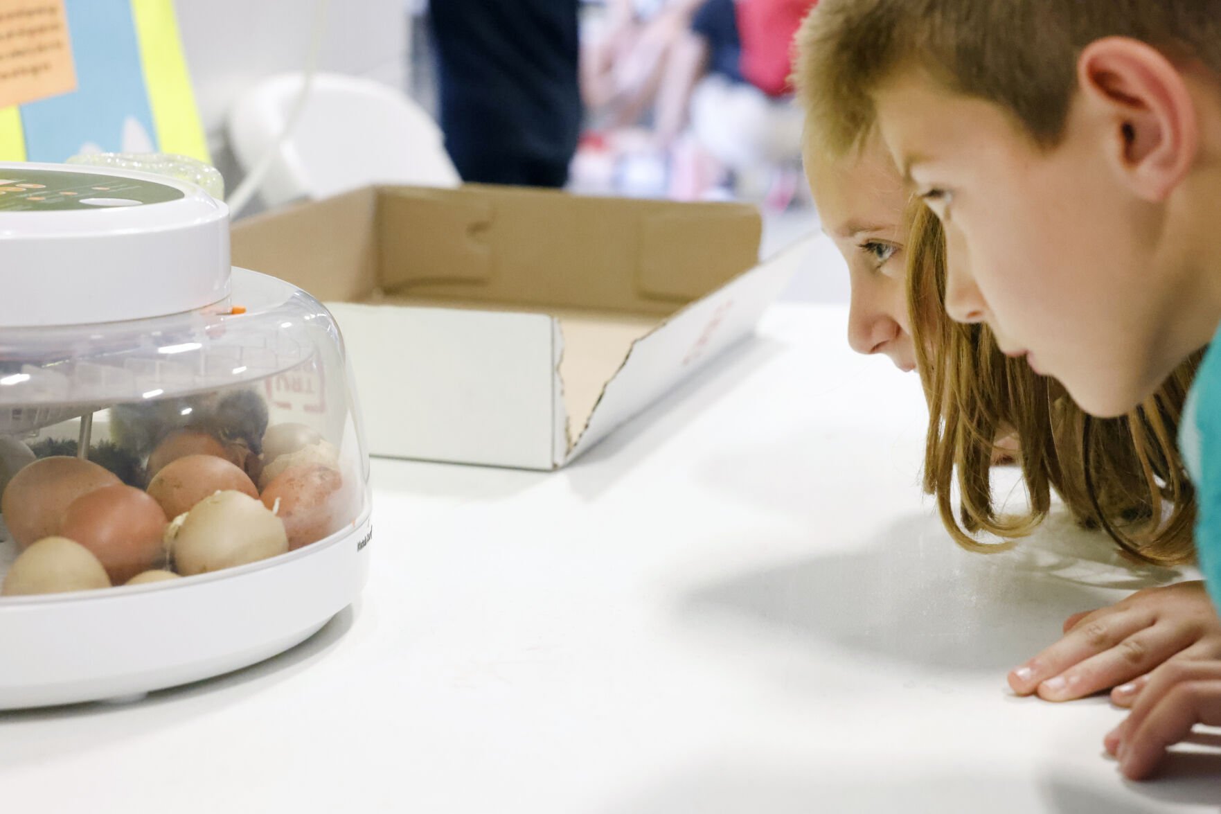 River Bend Food Bank distributing 6 million meals following fall funding initiatives