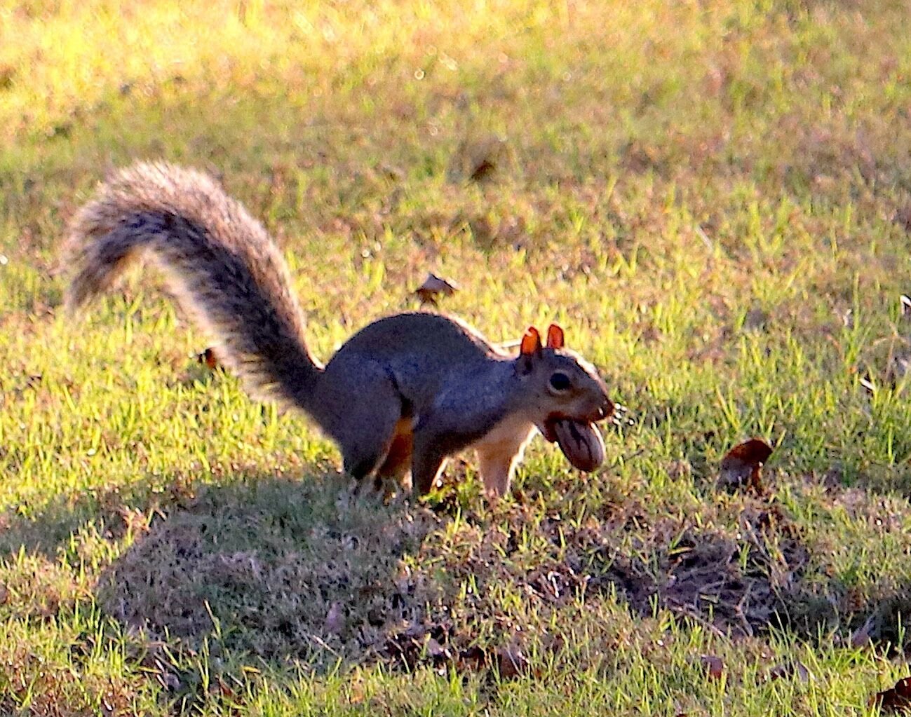 Residents share their smartest and silliest fall weather tips