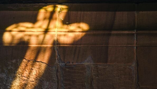 Keeping an ‘attitude of gratitude’ this season