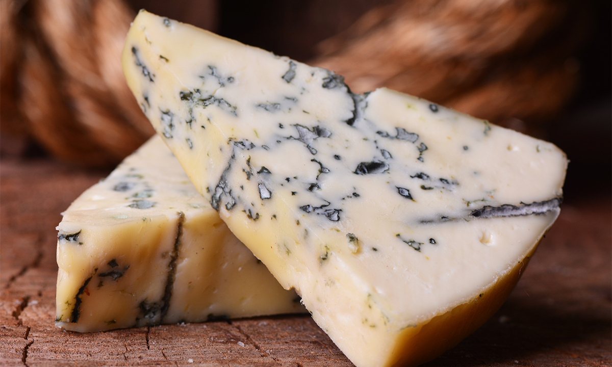 What Cheese Mold Can Teach Us About Evolution