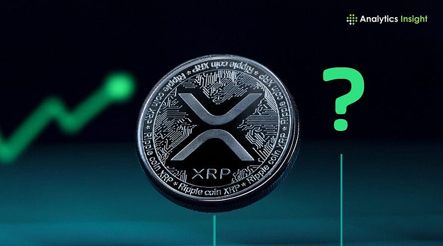 Can Ripple Survive Without XRP? Detailed Insights