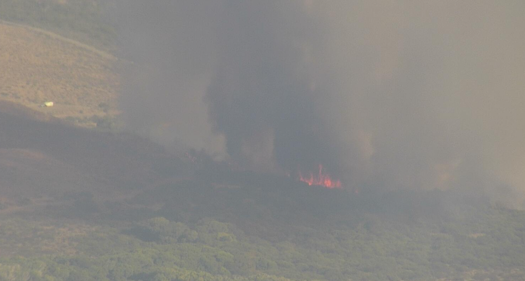 Vegetation fire reaches 15 acres in Shelter Valley