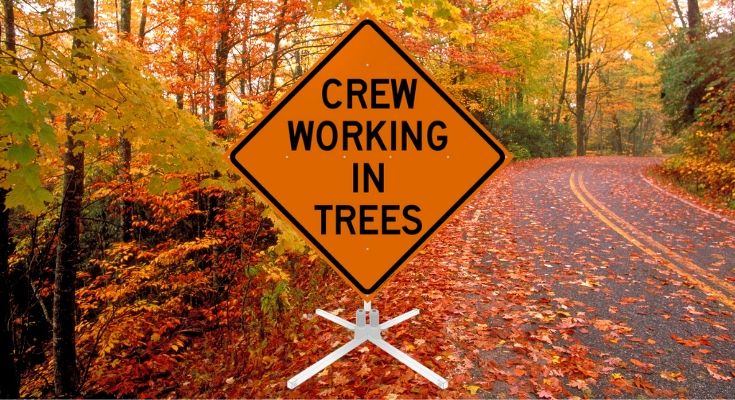 Tree Clearing to Impact Travel on Creek Road in Chadds Ford Township