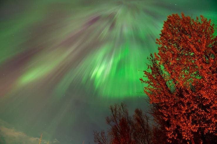 ‘Christmas Lights’ Alert: U.S. May See Aurora Monday And Christmas Eve