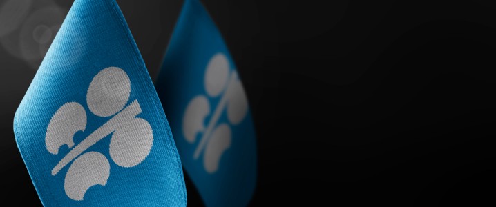 OPEC Holds Firm on Bullish Oil Demand Outlook for 2026