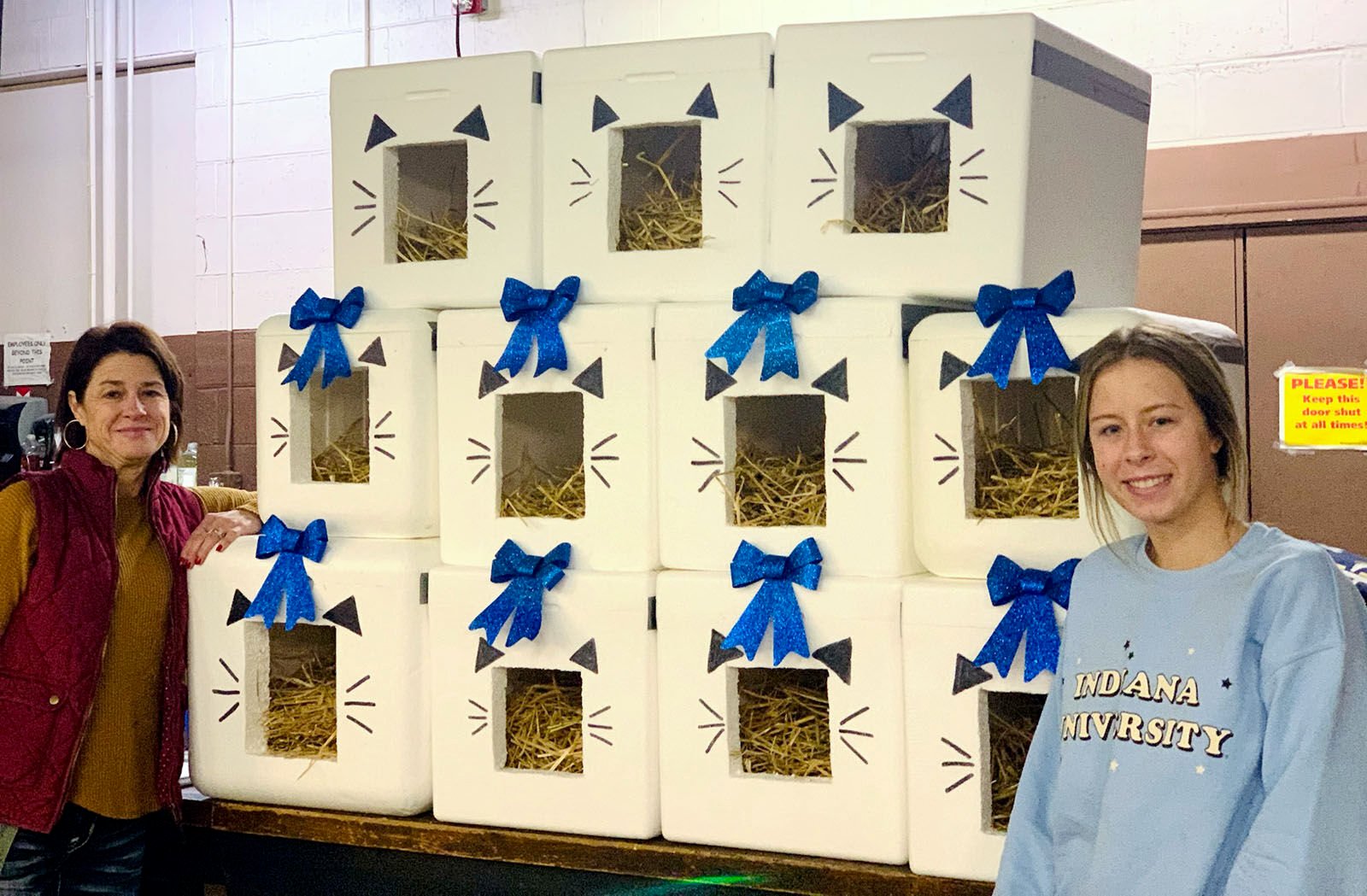 Free ‘cat shacks’ available