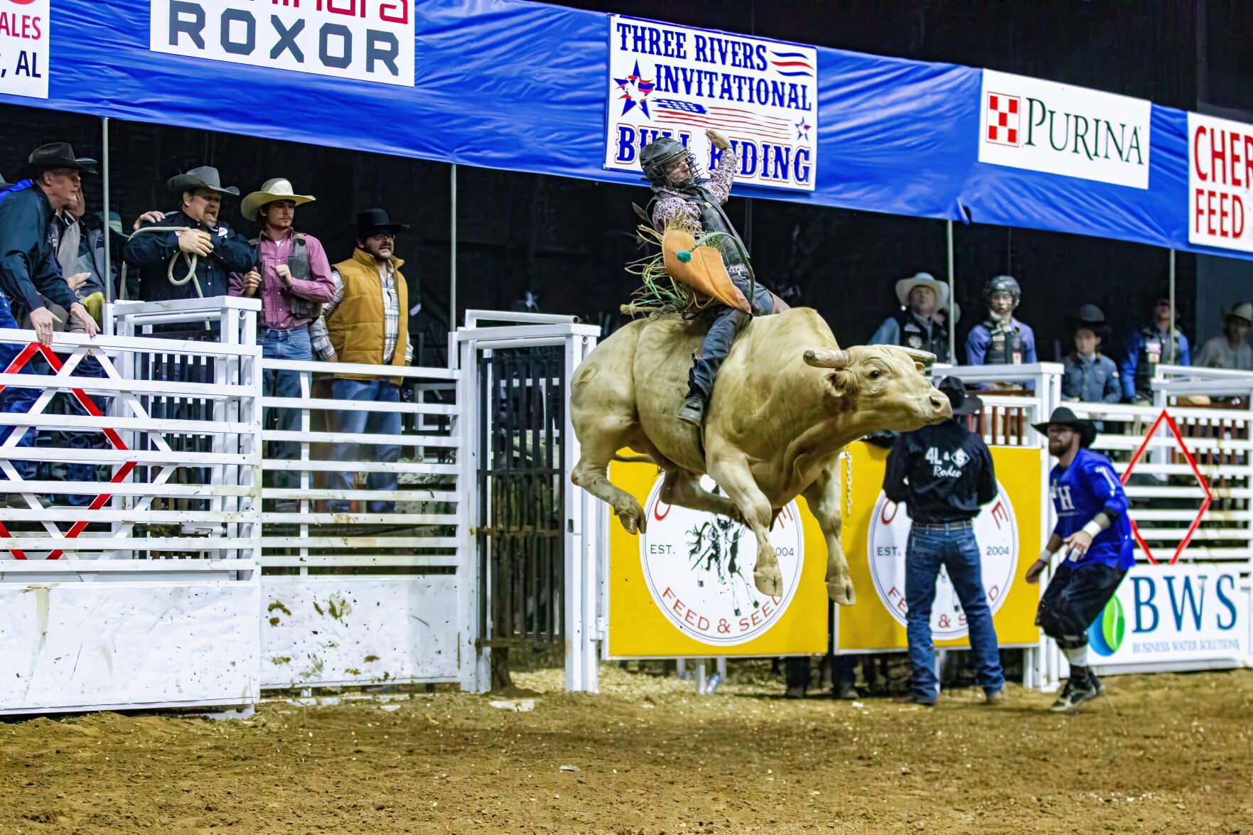 Three Rivers Bull Riding returns to The Forum Jan. 9, 10