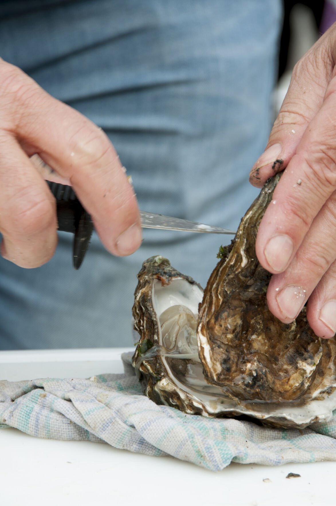 Shucking oysters is a life skill. Here’s how to shuck like a pro