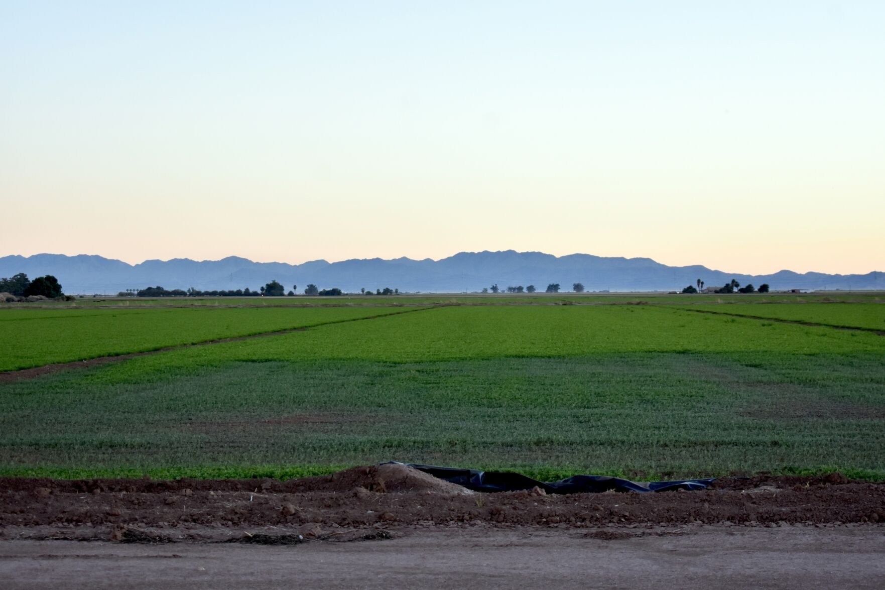 County solar cap on agricultural land goes into effect