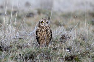 Grounded – Thu, 18 Dec 2025 PST