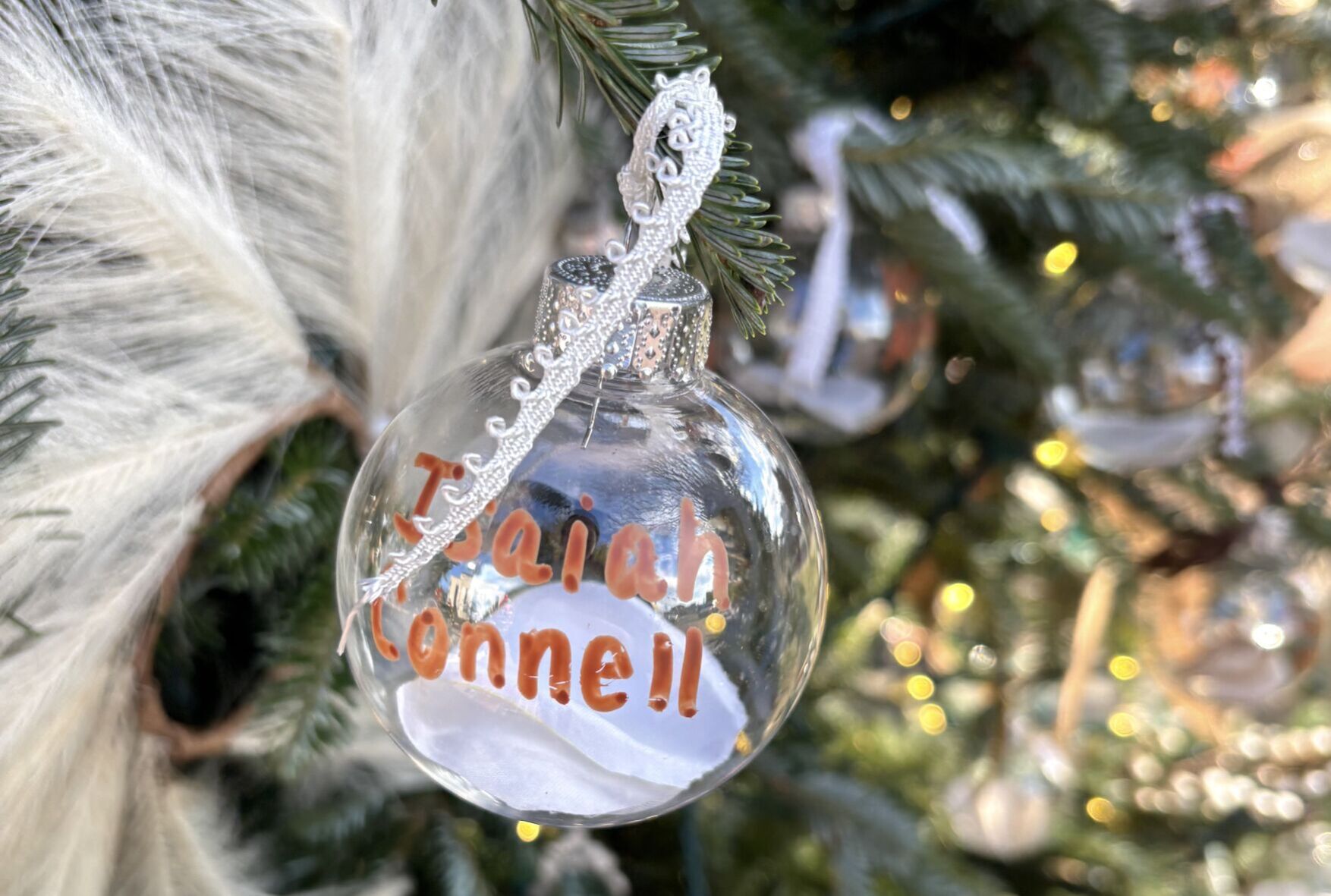 Trees in memory of children at Festival of Lights